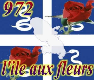 l ' ile aux  belle fleurs