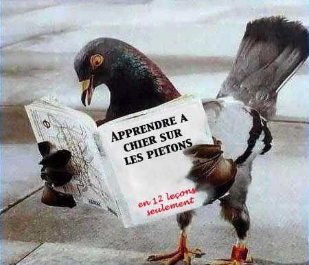 tout s'apreend
