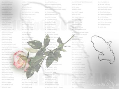 la rose