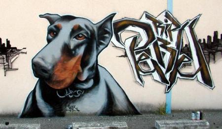 THE dog